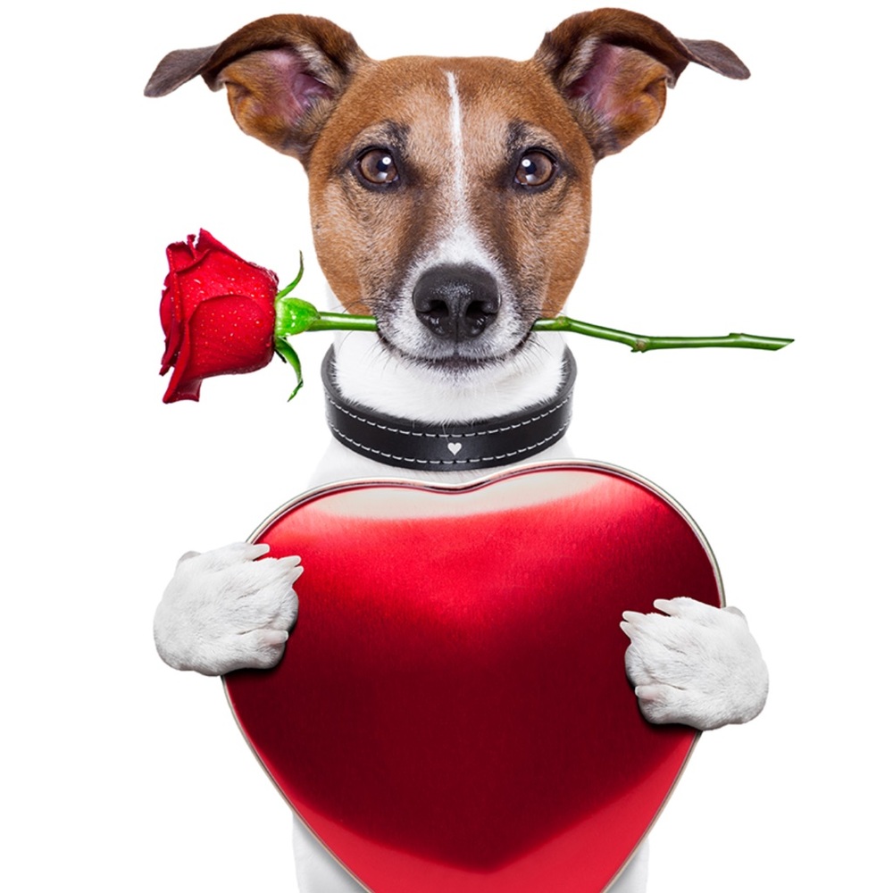 From my heart to your’s…..I wish you all the best!